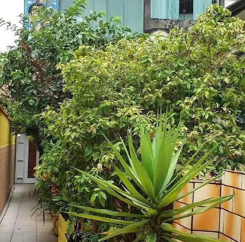 Mooca Hostel Atlântica São Paulo